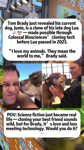 Tom Brady Cloned His Dog After It Died 🧬🐶