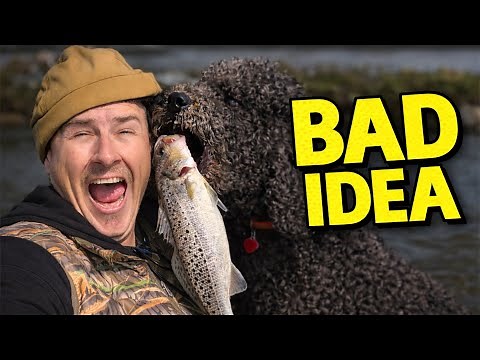 Fishing with My DOG Turned Into Absolute CHAOS (Louisiana catch and cook)