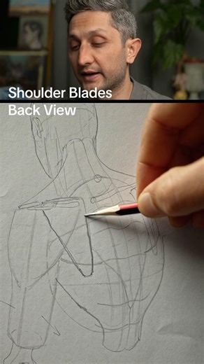How to Draw: Shoulder Blade Back View. #artfundamentals #artclass #figuredrawing #gesturedrawing