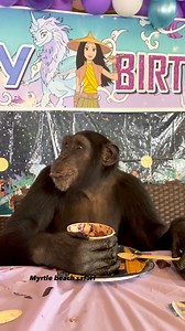 Vali loves his fruit bowls! 😍🍇🍌🍉🍒 | Kody Antle