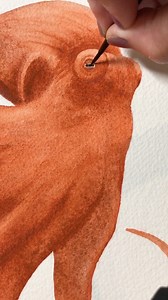 Happy World Octopus Day! ❤️🐙 Such beautiful, intelligent creatures with overflowing character! (I've shared a video of a local octopus going low tide crab hunting in my Stories) • Sketched with STAEDTLER pencil & eraser direct onto 640gsm /300lbs rough cotton watercolor paper by Arches papers. • Painted with a mix of seawater and DANIEL SMITH: Artists' Materials watercolors, with my signature range of mop brushes from Senior Art (use code CINDY for shipping discount) 🎶 Ammil by The Tides | Cin