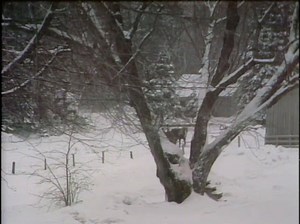 🌺😍 TERRE HUMAINE 25 septembre 1978 ! 😍🌺 Saison 1 Épisode 17 Dans une grande famille rurale contemporaine, les Jacquemin, trois générations s'affrontent. Le patriarche de 85 ans, Léandre, répugne à régler sa succession; autour de ce pilier familial, gravitent ses fils qui vivent dans l'attente, ainsi que leurs enfants qui grandissent dans la fougue de leur âge. Ce drame familial s'insère dans le quotidien de Sainte-Marie-des-Anges, une petite paroisse où couvent des conflits qui, peu à peu, é