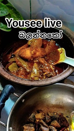 ආස හිතෙයි😋🤩👌#food #yousee #cooking #live#short