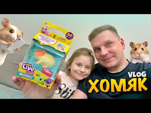 NEW HAMSTER | INTERACTIVE TOY | LITTLE LIVE PETS | NEEDEES | CHIPPEE HAMSTER TOY | VLOG