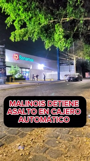Malinois detiene asalto en cajero automático