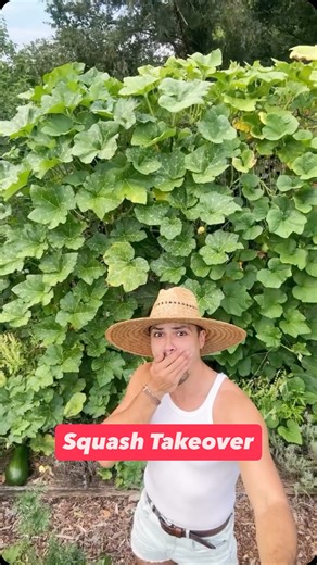 Growing with Brian Brigantti 🍁✨ | The squash is SQUASHIN this season 😵‍💫🥒✨ #garden #farmlife #abundance | Instagram