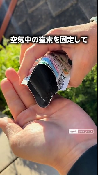 家庭菜園で雑草を活用！肥料代節約＆土作りに効果的な緑肥の使い方