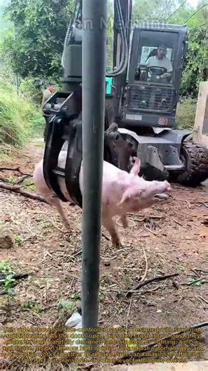The World's Most Expensive Pig Carrier Modern Problems Require Modern Solutions Farm Edition