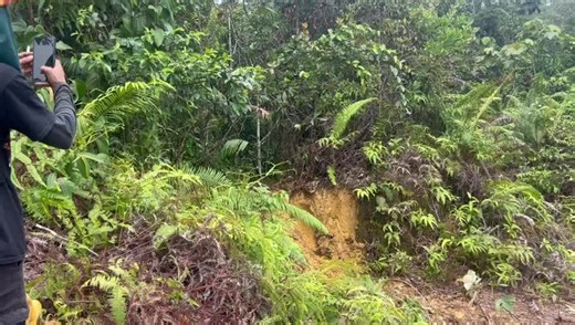 Offroad Genius Tyres🔥‼️ Assalamualaikum Kawan2 Promosi panas 🔥 Teknologi tayar Jerman, dikilangkan di India. Kualiti mantap, cengkaman padu, sesuai untuk offroad game‼️ Kalau ada yang berminat terus Whatsapp atau pm no dibawah : 011-11162636 #ukgeniuspathlegacy #offroadtyre #quality #4x4Tyres #MadeInIndia #GermanTechnology #HotSale #fypppppppppppppp #pmformoredetails🔥🖤