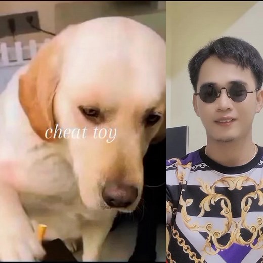 ត្រូវតែចេះជក់😁 reaction video 😁 ............... #reels #reelvideos #followersreels #cheats #toys #reactionvideos #top #topfans | pechlita-ពេជ្រលីតា