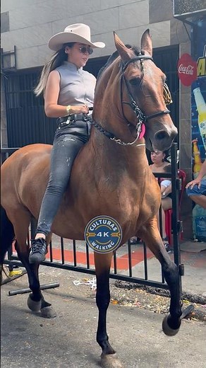 🐴 A beautiful girl riding an stunning horse 🇨🇴 #culturas4K #women #horses #colombia #usa #mexico