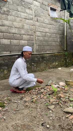 Pemuda ini pengen bermain pecahan genteng sambil bersholawat #main #pecahan #genteng #sambil #sholawat