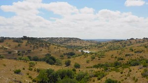 PRE-CONSTRUCTION LAND SALE: SAVE THOUSANDS on all new inventory! 5 to 10 acres from $129,900. Low AG exempt taxes. Limited time offer. Call (800) 511-2430 or click for details. | Lone Star Land Partners