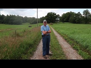 Black vultures are killing this farmer's cows and he needs a permit to fire back