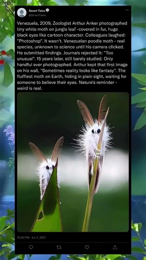 They Said It Was Impossible… Then Came the Moth 🦋✨ #shorts