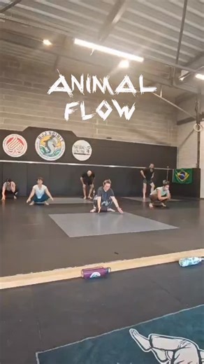 🦍 Bouge comme ton corps est fait pour bouger ! Découvre les cours Animal Flow à Pau 🐾 Une discipline unique qui mêle force, mobilité, coordination et fluidité à travers des mouvements inspirés du monde animal. Que tu sois sportif confirmé ou débutant, tu apprendras à mieux bouger, à gagner en contrôle, en puissance et en aisance corporelle. 📅 Horaires : • Lundi 🕚 11h et 🕕 18h • Samedi 🕚 11h • Des créneaux débutants sont aussi proposés pour maîtriser les bases à ton rythme 💪 👉 Viens essay