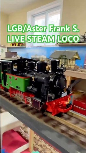 Carleton Place ON: LGB / Aster Frank S. #livesteam #gscale #modeltrains #modelrailway #modelrailroad