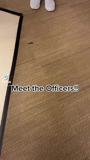 Get to Know Your University of Houston VSA Officers