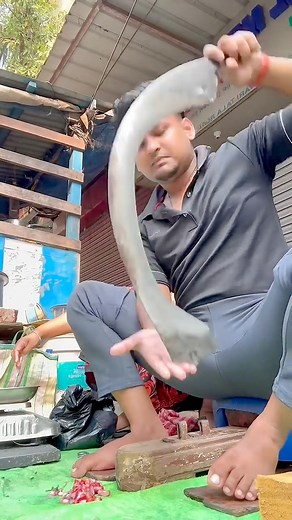 6.5M views · 131K reactions | Finally machli katne wala change kar raha hai  #minivlog #dailyvlog #vlog #viralvideochallene | Yt Bishal | Facebook