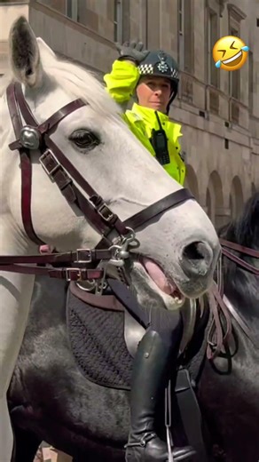 🤗Unstoppable: Female Mounted Police and Their Powerful Horses