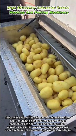 High Efficiency Industrial Potato Washing And Peeling Machinery