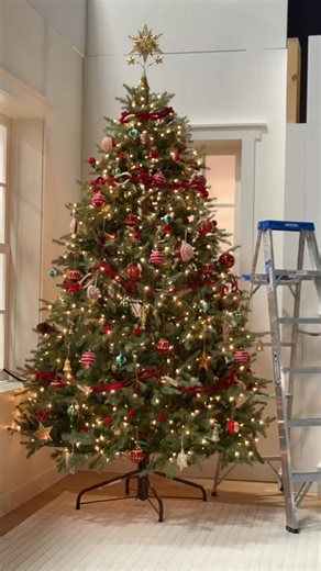 It’s tree time! Finding your faves is easy with top-rated artificial picks, tabletop minis, and all the trimmings delivered fast and free.* | Wayfair