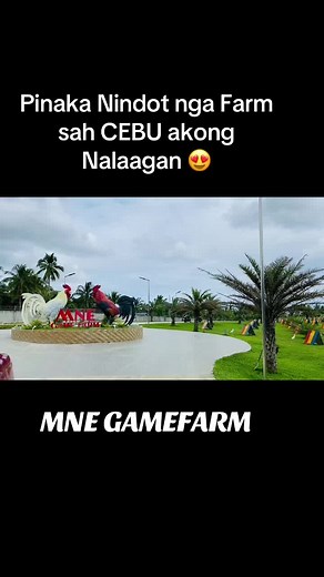 Exploring MNE Gamefarm in Cebu: A Unique Experience