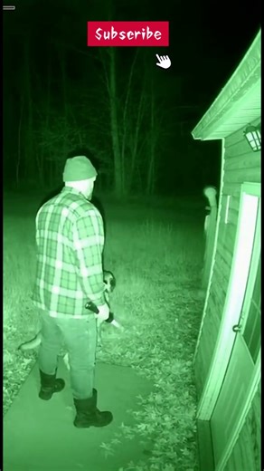 The dog is on alert… Then the camera catches something that shouldn't be there.