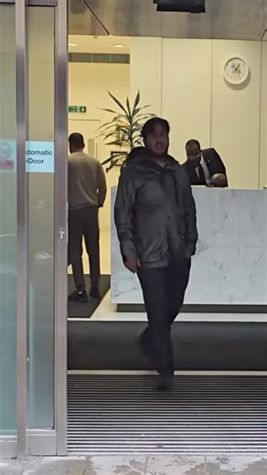 Understanding Police Officer Auditing Practices