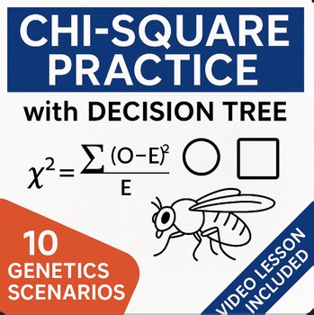 Chi-Square Practice with Decision Tree | AP Biology Genetics Analysis & Interpre