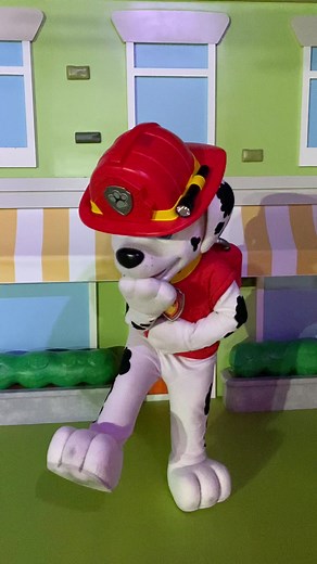 Marshall's Goofy Moment Before Ruff Ruff Rescue