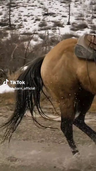 Earn your keep. #bootbarn