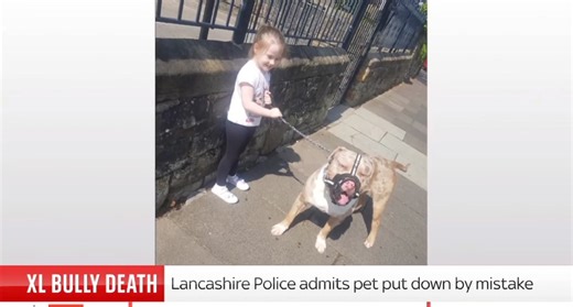 Bruno's tragic story has been aired on Sky news. We are encouraged to know the family's MP is pushing for answers from the police as well as giving direct support to the family. We are continuing to support and have some calls next week. Helen Howell Dog Behaviour Expert is also working with us to plan what the next course of action is. Bruno's death was inexcusable and we will continue to push for change in the process, we would like any change to be adopted by all forces across the UK to preve