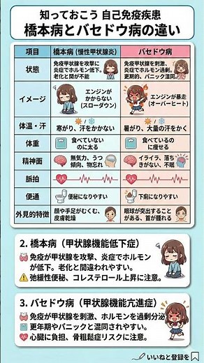 【その不調、甲状腺かも？】橋本病とバセドウ病の違いを徹底解説！疲れ・体重変化・イライラの正体とセルフチェック法