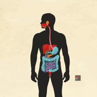 How Your Digestive System Works ( Video ) | Biology