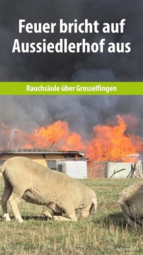 Brand auf Grosselfinger Geflügelhof