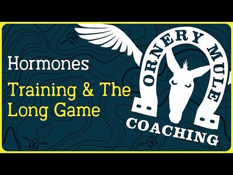 Hormones, Training & the Long Game: Navigating Perimenopause, Postpartum & Menopause