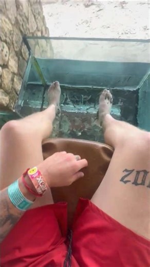 be wise enough to learn from others mistakes, and smart enough to not repeat them #beginnersmindset