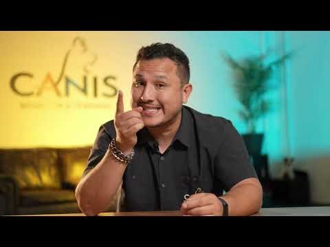 Mastering Verbal Cues with Your Dog | Dog Training with Brent LaBrada