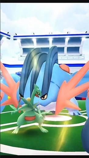 Mega Swampert Solo Raid