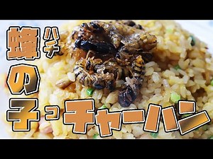 【昆虫食】キイロスズメバチの蜂の子料理！高級食材と言われる昆虫を美味しく料理しました！【チャーハンの作り方】Entomophagy;A fried rice of yellow hornet