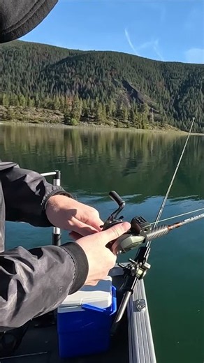First Kokanee on the Cut Plug 2.0 🎣 #fishing