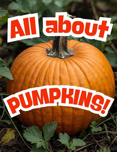 Pumpkin Activities Printable | Fall Worksheets for Preschool & Kindergarten - Etsy