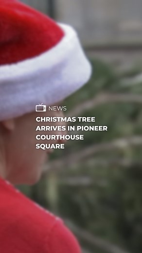 11K views · 71 reactions | It's beginning to look like Christmas in Portland with the arrival of the tree in Pioneer Courthouse Square today. More on the FOX 12 app. | FOX 12 Oregon | Facebook