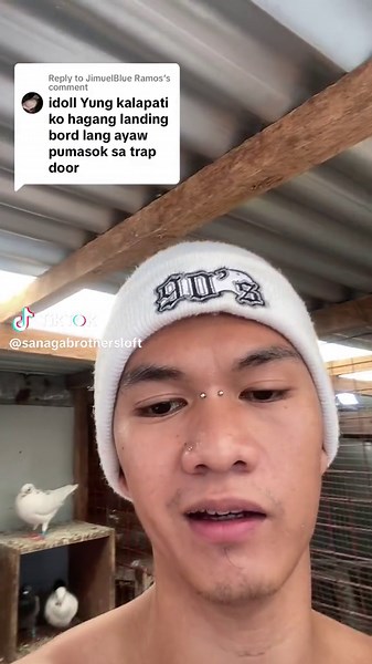 Sanaga Brothers Loft on TikTok