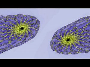 Fractals in Octonion algebra
