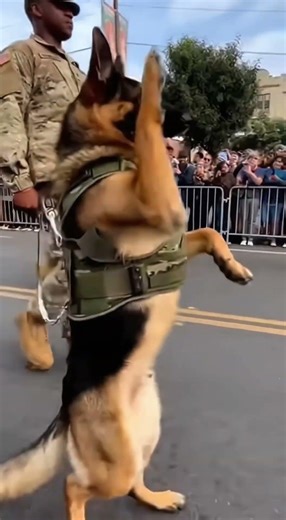 Advance kg dog in the world 😊🥰😍🔥