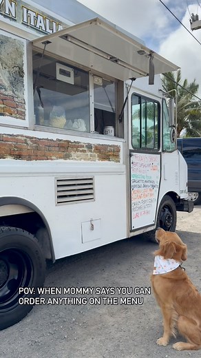 I got my eyes on that fresh pasta 😂😂😂🙏🏽🙏🏽🍝🍝 #dogs #funny #italianfood | humphreysaccaro