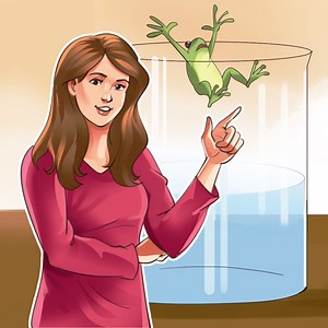 Boiling Frog Theory. Decide when to Jump!!! | DEMIC