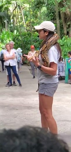 Rocky's Story--The Colombian Red Tail Boa